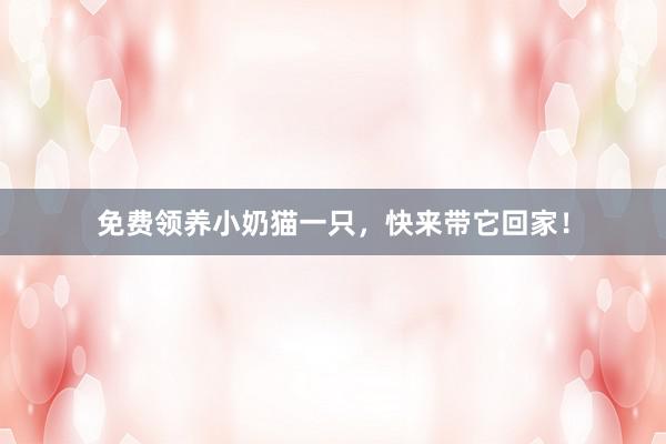 免费领养小奶猫一只，快来带它回家！